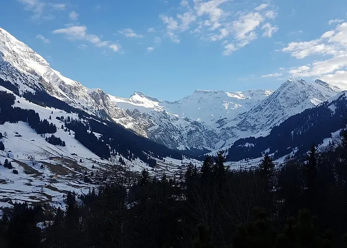 Crystal 3* Adelboden