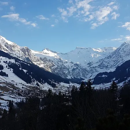 Crystal 3* Adelboden