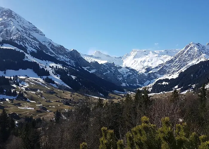 Crystal Hotel Adelboden